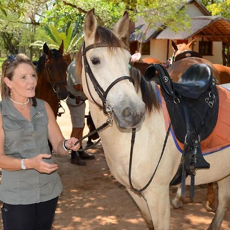 Wild Ride Safaris And Bush Camp Villa Hoedspruit Exterior foto